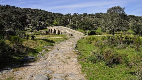 Puente Mocho