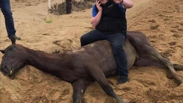 Gordon Elliott subido a un cabalo muerto