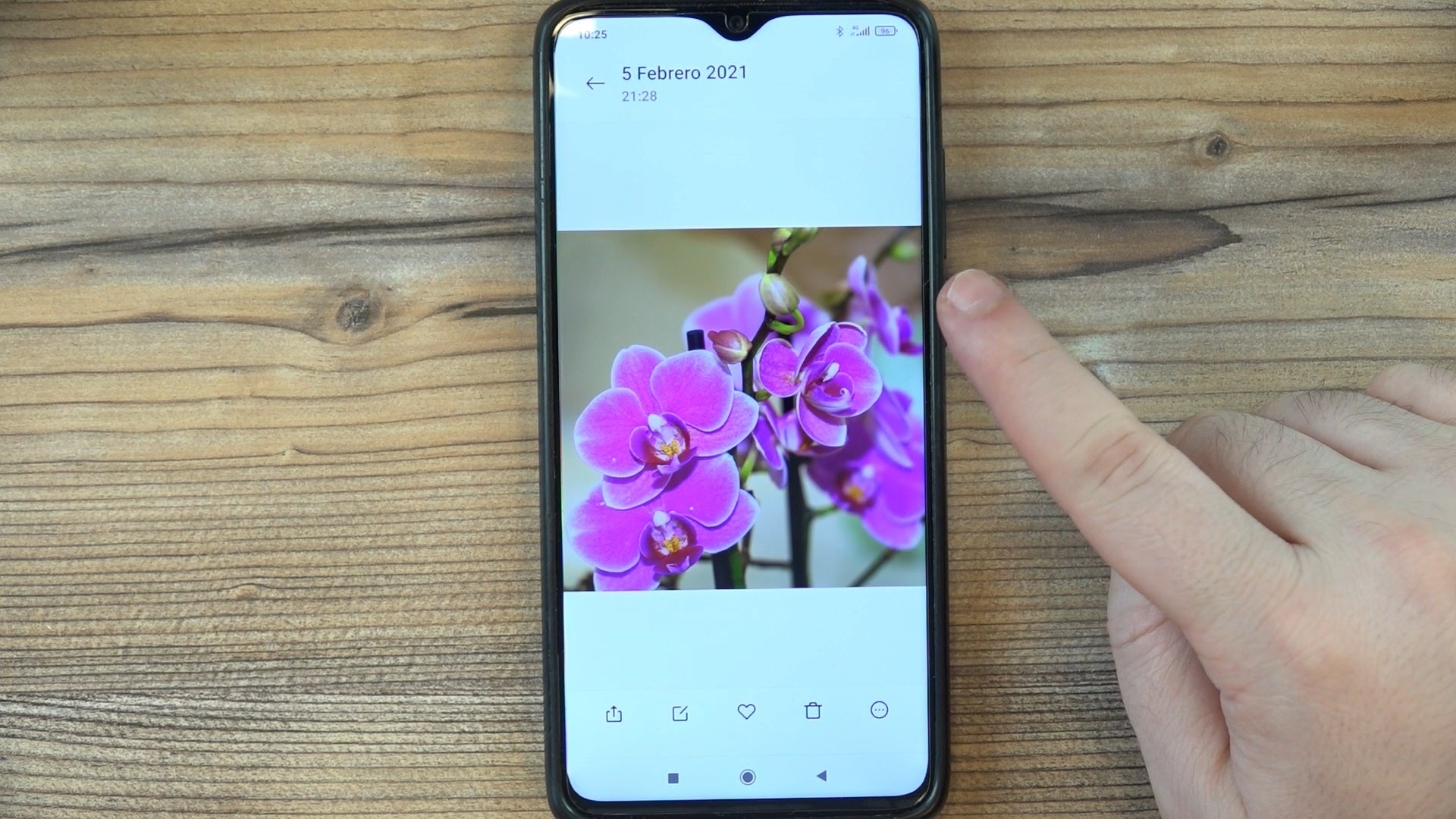 Organizar fotografías