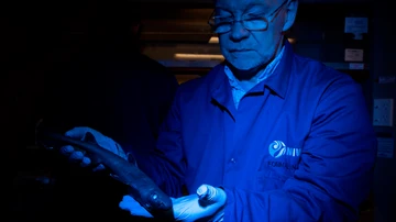 Jérôme Mallefet, autor del estudio, mientras sostiene un ejemplar de tiburón carocho (dalatias licha)