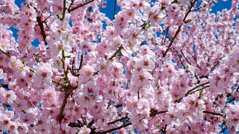 ¿Qué ocurre en el equinoccio de primavera? Esto es todo lo que debes saber sobre el equinoccio de primavera 