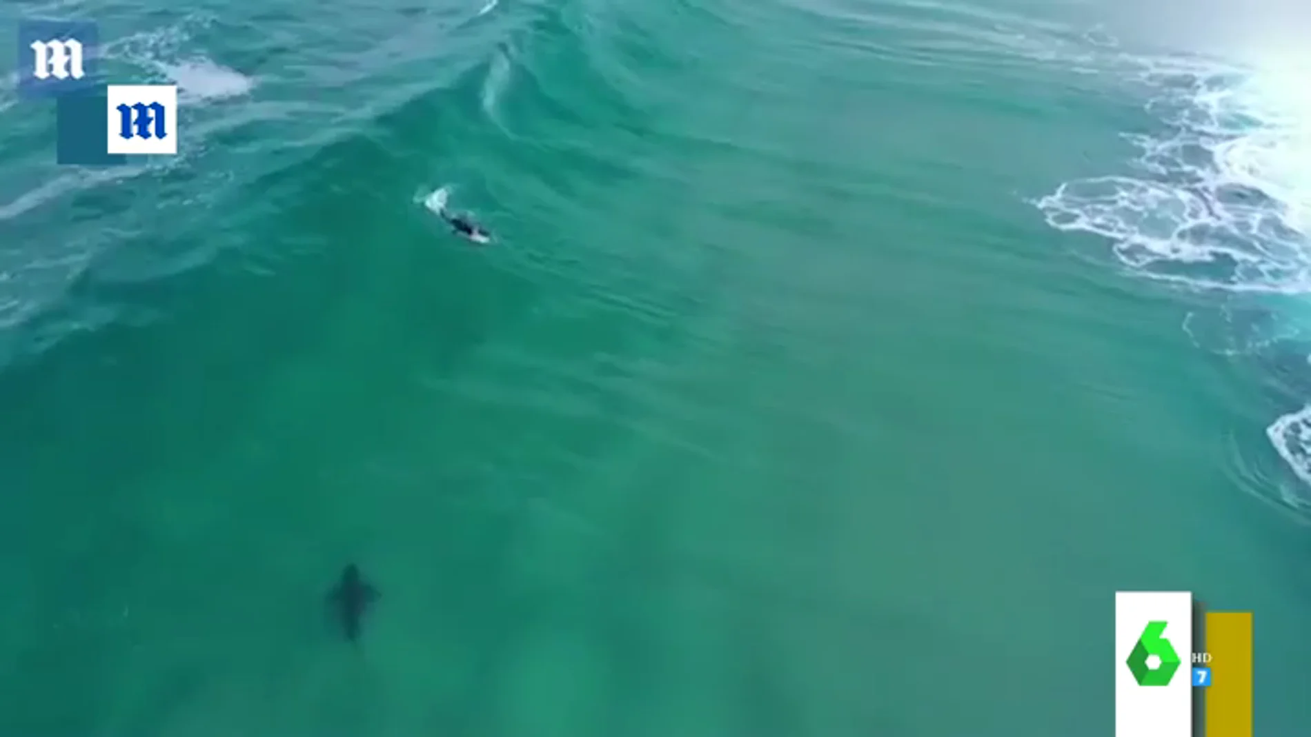 Las impactantes imágenes del acecho de un tiburón blanco a un surfista que dejan "con el corazón en un puño"