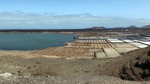 Salinas de Janubio