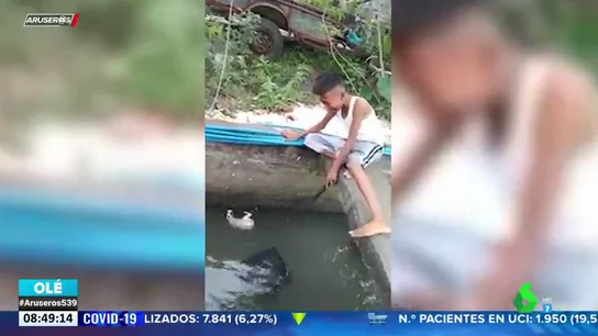 Un niño llora desconsoladamente al ver que no puede rescatar a un perro de un río Un niño llora desconsoladamente al ver que no puede rescatar a un perro de un río