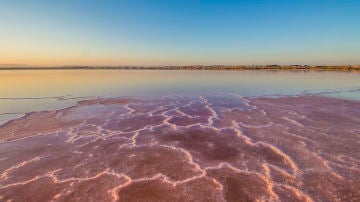 Salinas de Torrevieja
