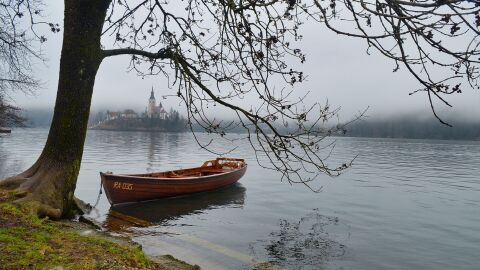 Bled