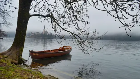 Bled Bled