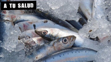 Imagen de archivo de pescado azul