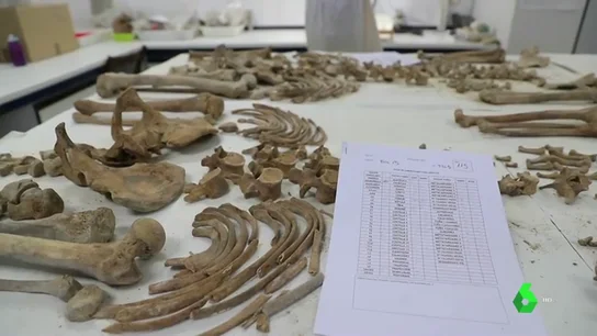 El trabajo a contrarreloj para identificar a las víctimas del franquismo fusiladas también sufre los estragos de la pandemia El trabajo a contrarreloj para identificar a las víctimas del franquismo fusiladas también sufre los estragos de la pandemia