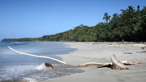 Playa Cahuita Playa Cahuita