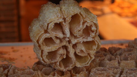 Flores fritas