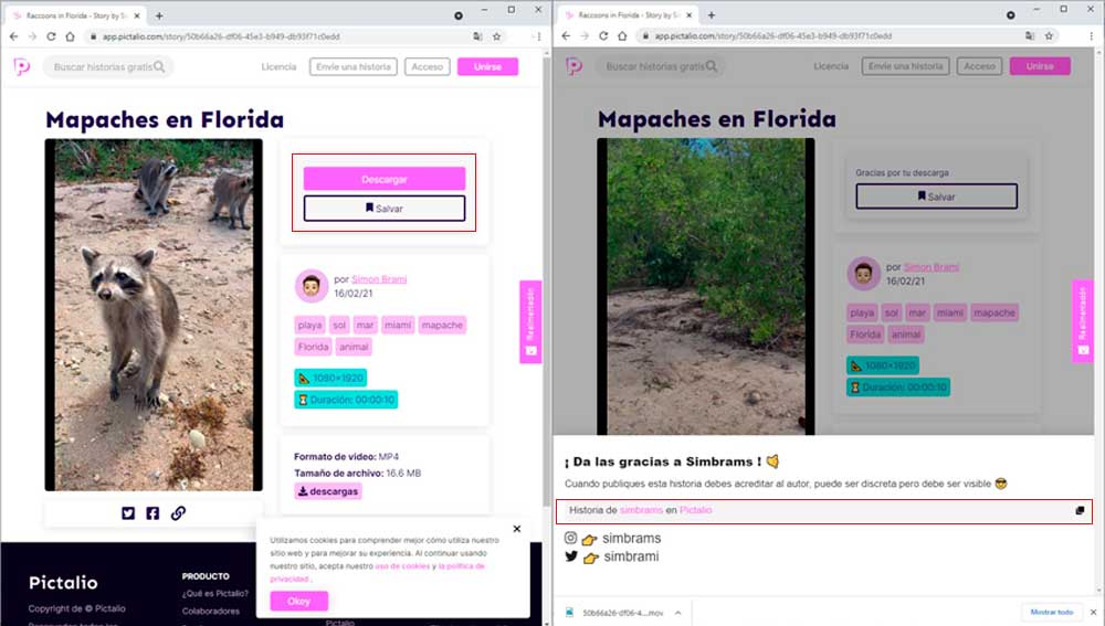 Descargando Stories