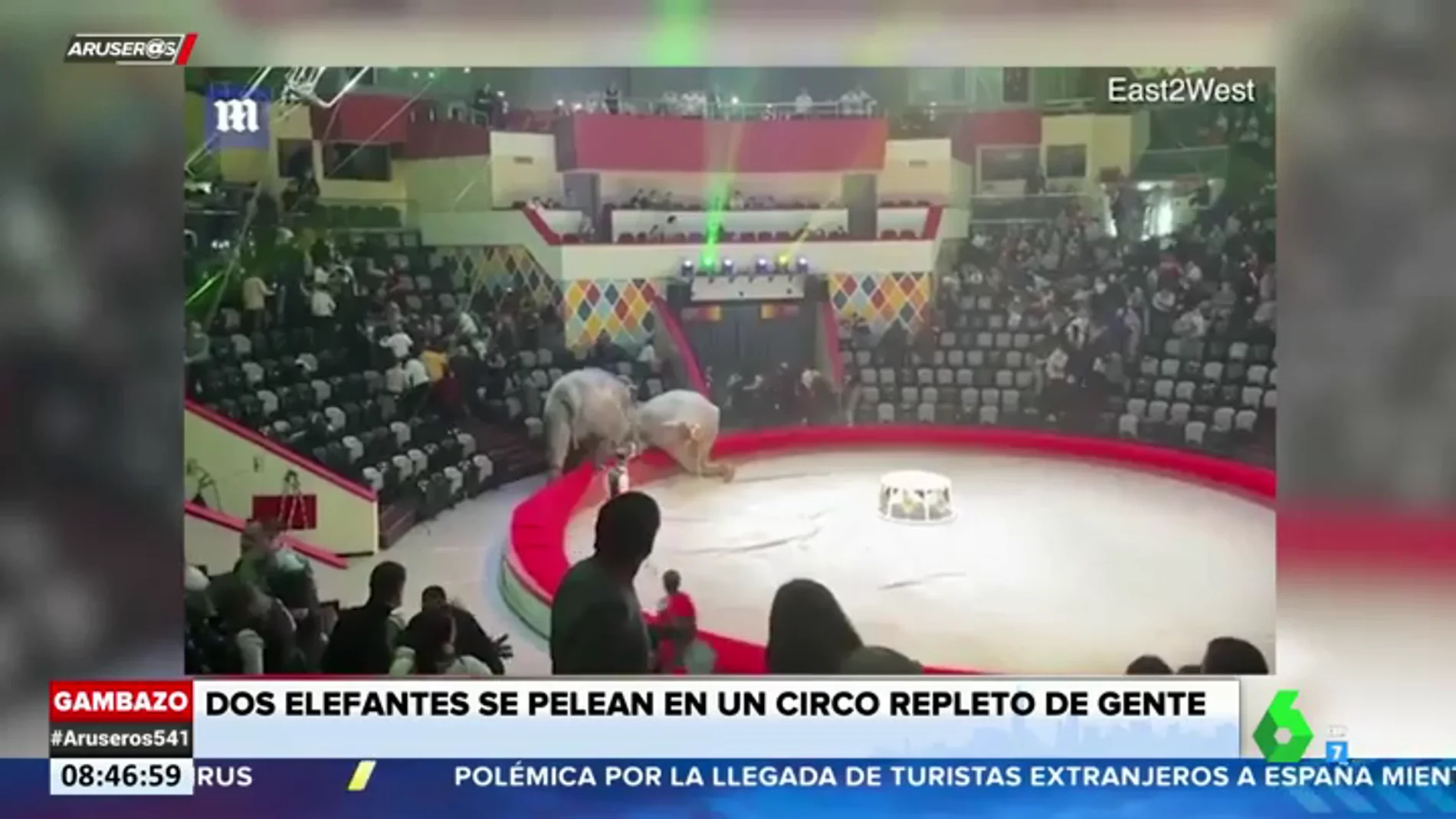 Dos elefantes se enfrentan en un show en el circo y desatan el pánico entre el público