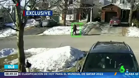 Un perro paraliza el tráfico para que auxilien a su dueña tras desmayarse Un perro paraliza el tráfico para que auxilien a su dueña tras desmayarse