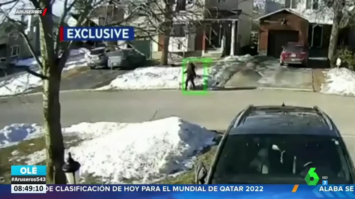 Un perro paraliza el tráfico para que auxilien a su dueña tras desmayarse Un perro paraliza el tráfico para que auxilien a su dueña tras desmayarse
