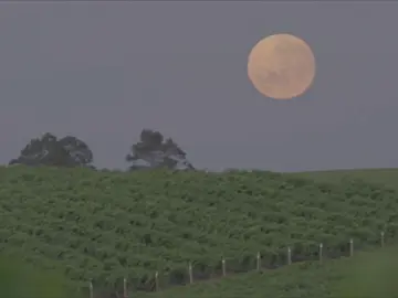 ¿Qué es la Luna de gusano y cómo podemos verla este fin de semana? ¿Qué es la Luna de gusano y cómo podemos verla este fin de semana?