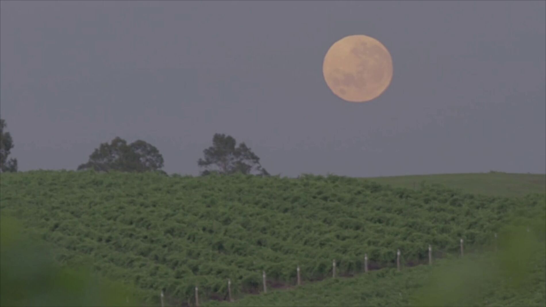 ¿Qué es la Luna de gusano y cómo podemos verla este fin de semana? 