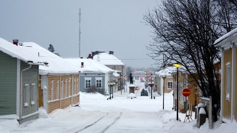 Nieve