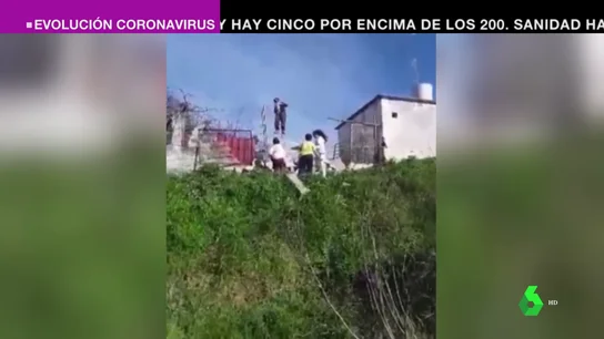 Una mujer induce a cuatro menores a robar varios chihuahuas en Móstoles mientras lo graba y se ríe Una mujer induce a cuatro menores a robar varios chihuahuas en Móstoles mientras lo graba y se ríe