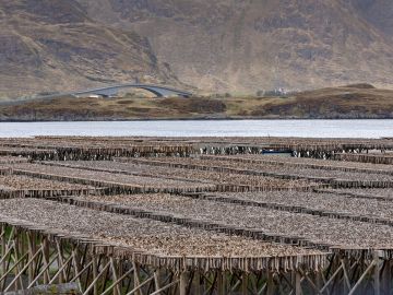 Bacalao. Noruega