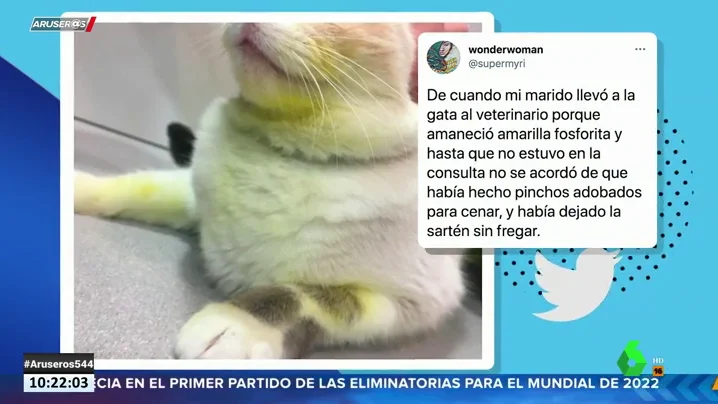 Lleva a su gata al veterinario porque tiene manchas amarillas y descubre que se ha ensuciado con una sartén