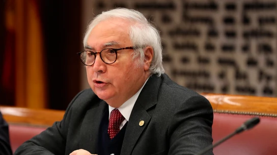 El ministro de Universidades, Manuel Castells El ministro de Universidades, Manuel Castells