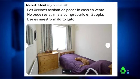 La surrealista imagen que hizo que un hombre se diera cuenta de que compartía su gato con el vecino La surrealista imagen que hizo que un hombre se diera cuenta de que compartía su gato con el vecino