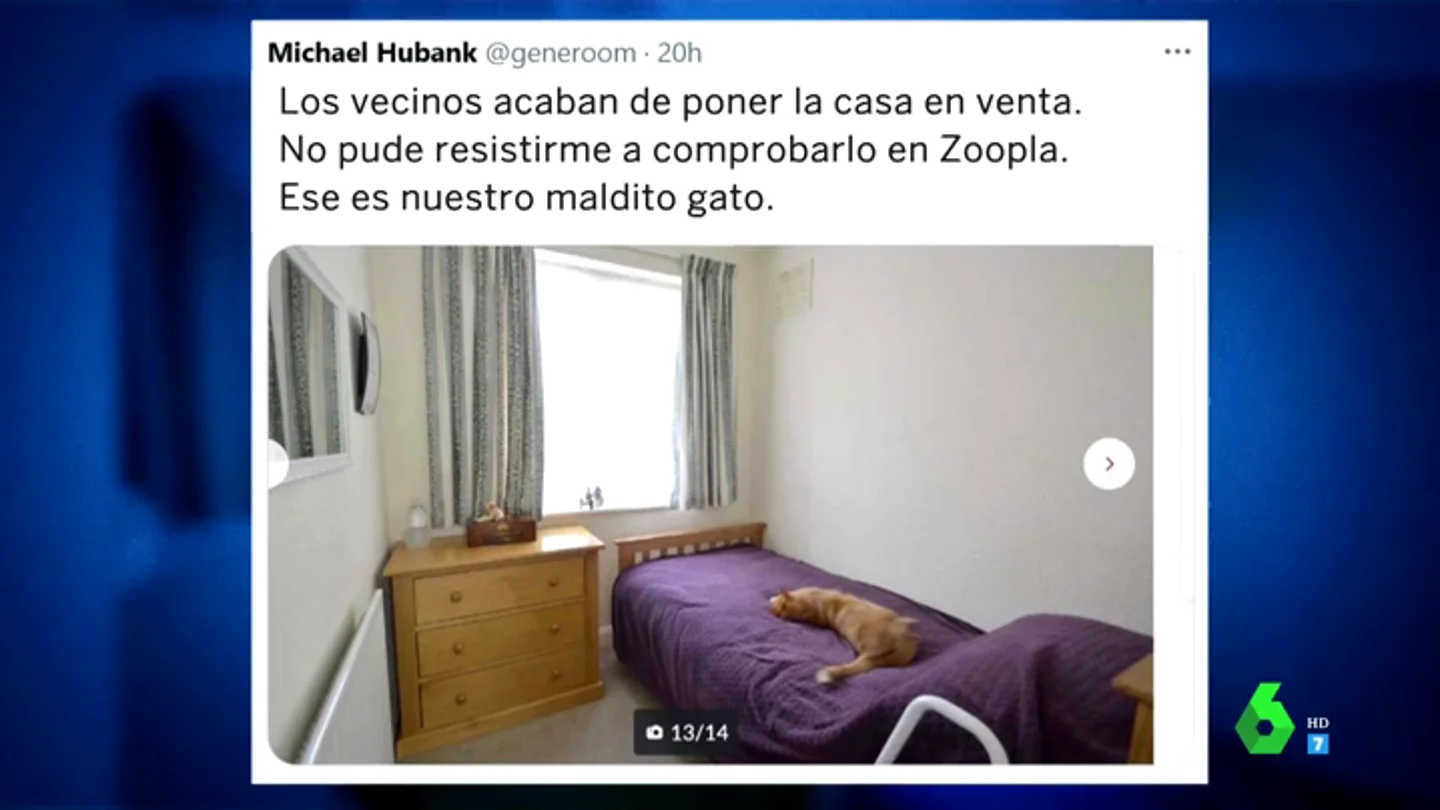 La surrealista imagen que hizo que un hombre se diera cuenta de que compartía su gato con el vecino La surrealista imagen que hizo que un hombre se diera cuenta de que compartía su gato con el vecino