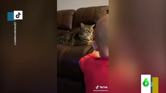 El divertido gesto de desprecio de un gato a un bebé cuando trataba de jugar con él El divertido gesto de desprecio de un gato a un bebé cuando trataba de jugar con él