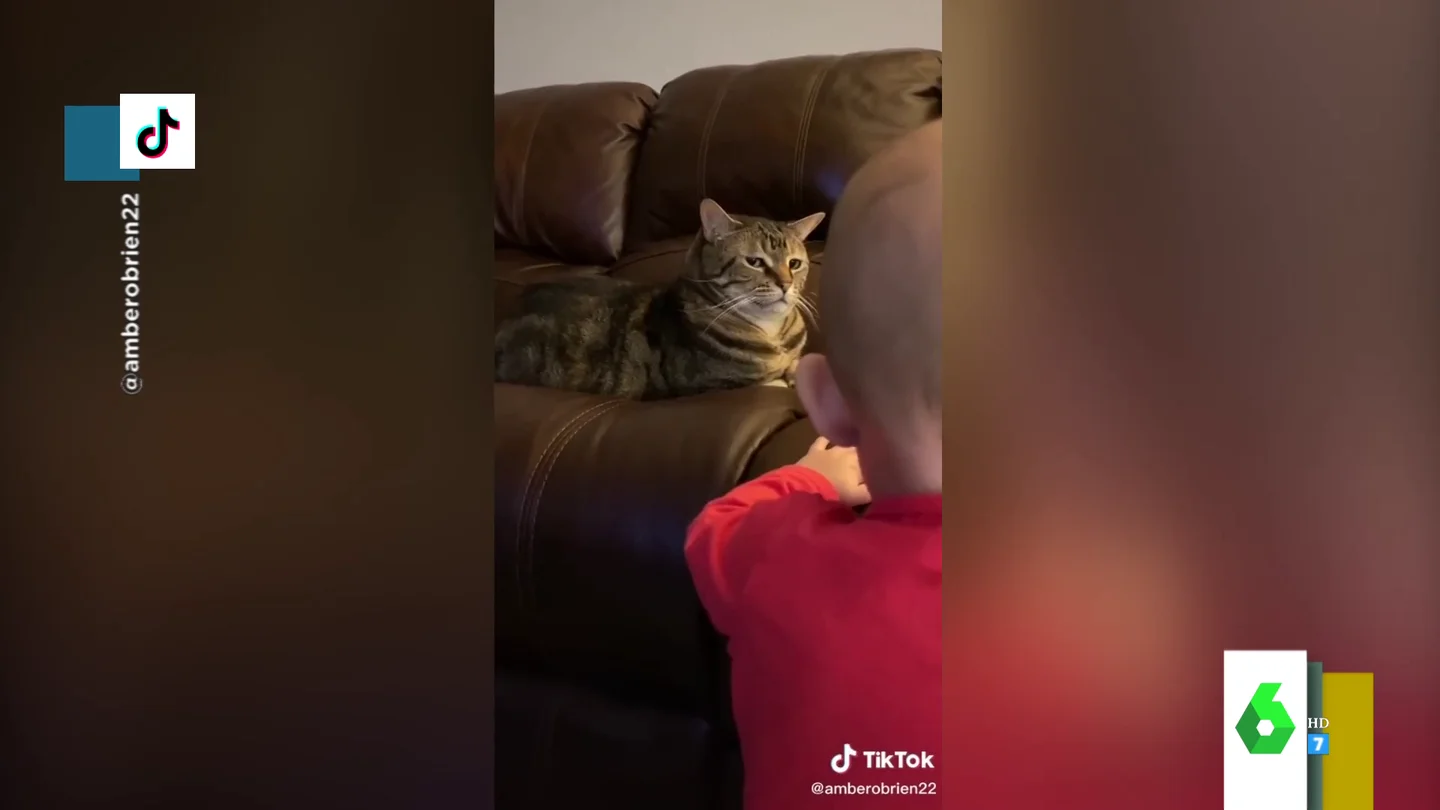 El divertido gesto de desprecio de un gato a un bebé cuando trataba de jugar con él El divertido gesto de desprecio de un gato a un bebé cuando trataba de jugar con él