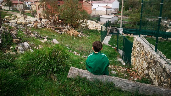 Así es el Programa LIFE: el fondo que protege la biodiversidad y el medio ambiente en la Unión Europea Así es el Programa LIFE: el fondo que protege la biodiversidad y el medio ambiente en la Unión Europea