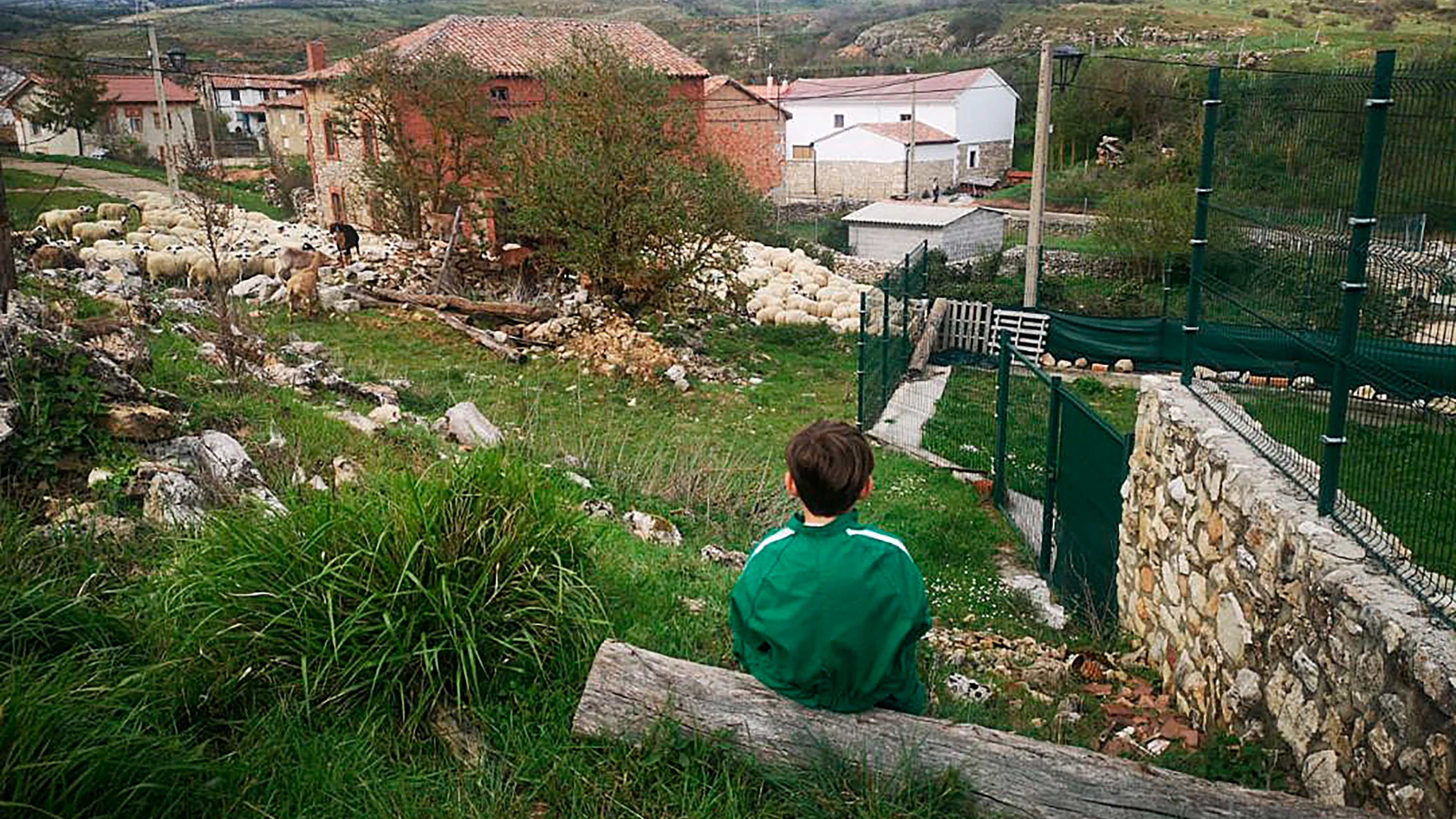 Así es el Programa LIFE: el fondo que protege la biodiversidad y el medio ambiente en la Unión Europea