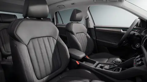 Skoda Kodiaq 2021 Skoda Kodiaq 2021