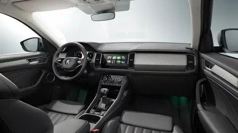 Skoda Kodiaq 2021 Skoda Kodiaq 2021