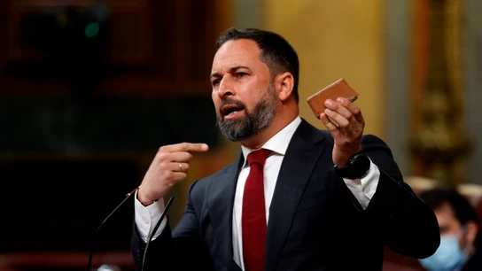 Abascal muestra un adoquín en el Congreso Abascal muestra un adoquín en el Congreso