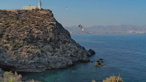 Isla de Mazarrón