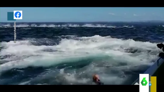 El impactante vídeo en el que un hombre cae al agua tras el coletazo de una ballena en su barco El impactante vídeo en el que un hombre cae al agua tras el coletazo de una ballena en su barco