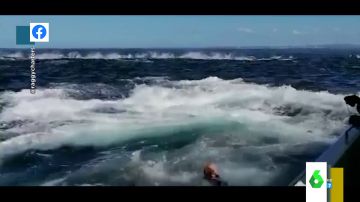 El impactante vídeo en el que un hombre cae al agua tras el coletazo de una ballena en su barco