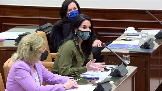 Bronca en la Comisión de Igualdad entre una diputada de Vox y una del PSOE Bronca en la Comisión de Igualdad entre una diputada de Vox y una del PSOE
