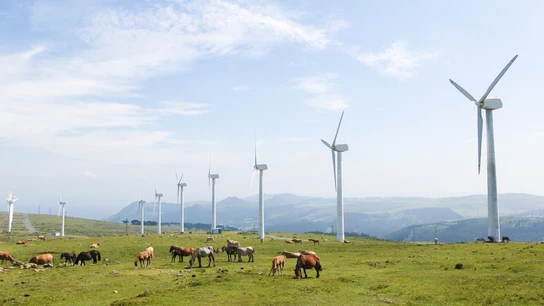 La ley de cambio climatico abre un camino que necesitara del mejor conocimiento cientifico La ley de cambio climatico abre un camino que necesitara del mejor conocimiento cientifico