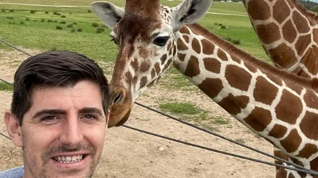 Courtois con una jirafa