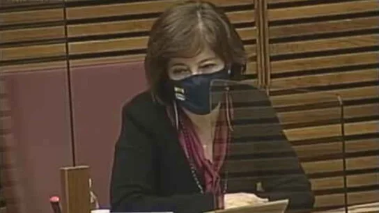 La portavoz de Igualdad de Vox en la Comunidad Valenciana, María de los Ángeles Criado. La portavoz de Igualdad de Vox en la Comunidad Valenciana, María de los Ángeles Criado.