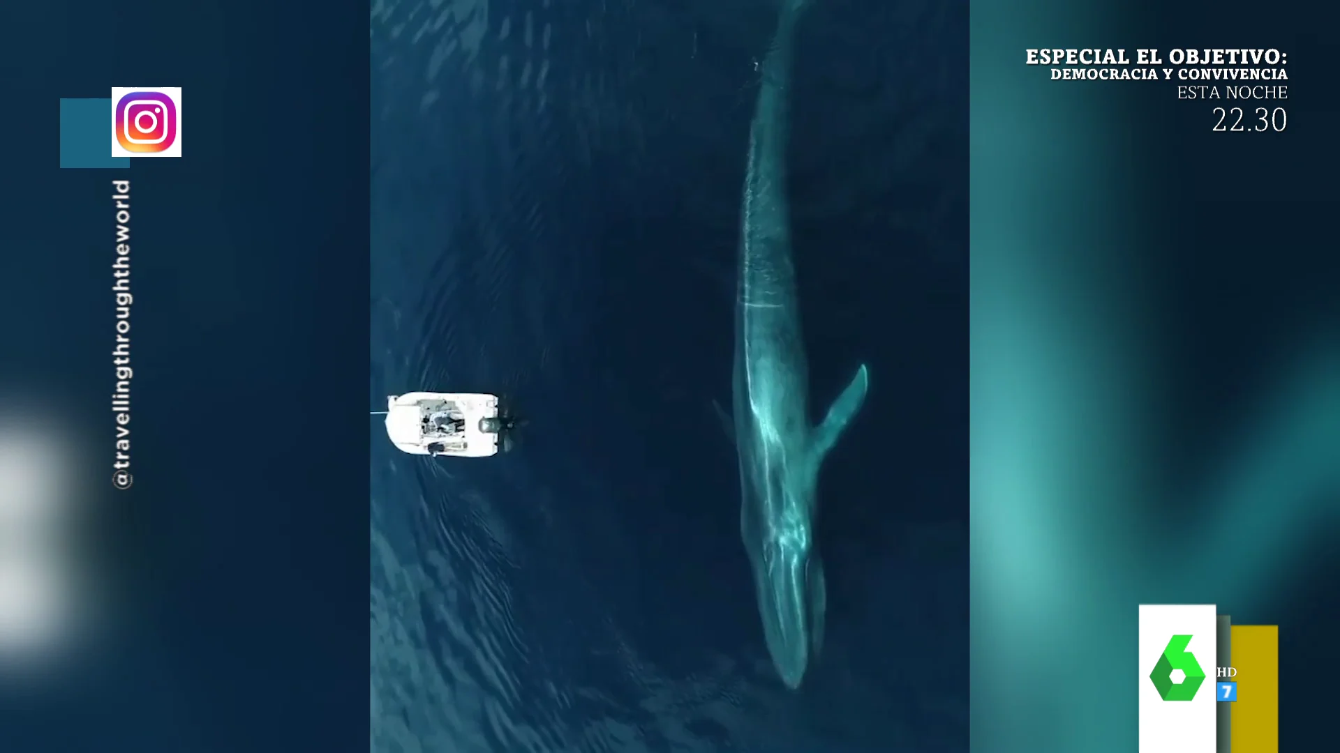 El impactante vídeo que muestra una enorme ballena frente a un barco pesquero a vista de pájaro