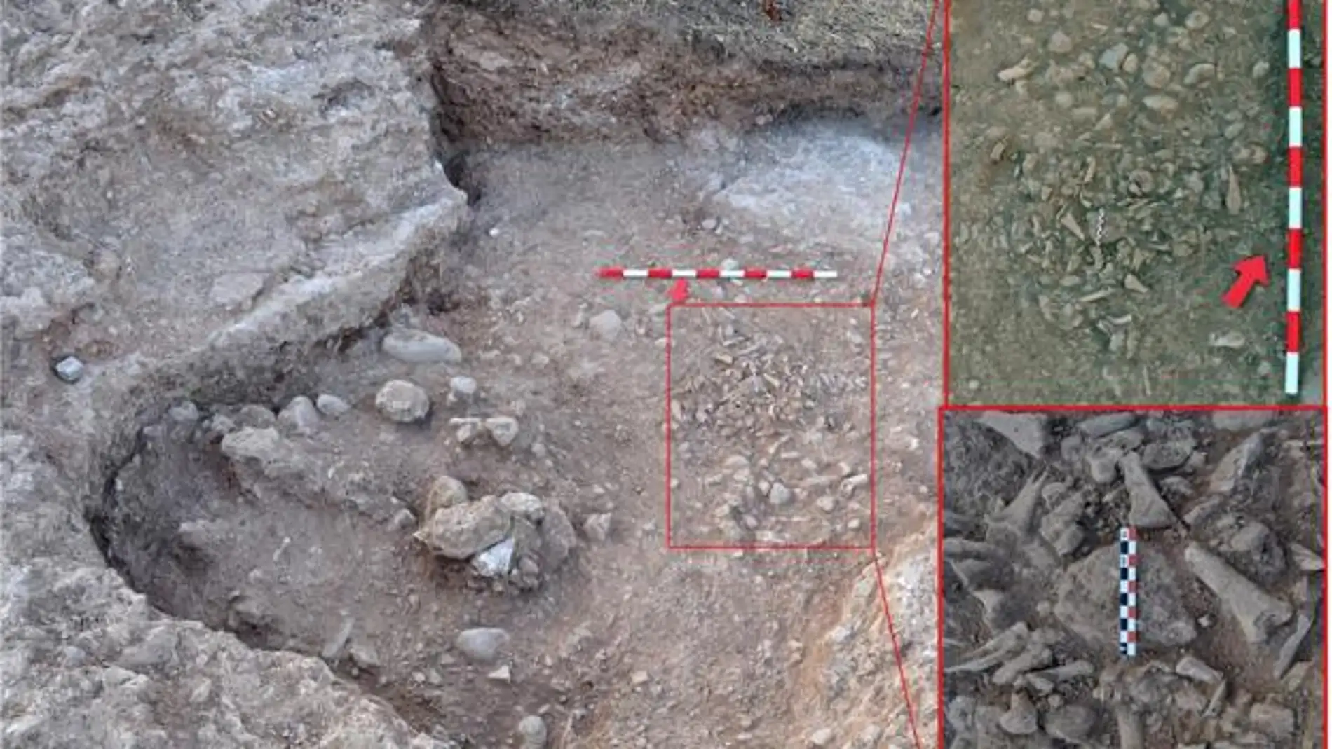 El analisis de un basurero del siglo XVI muestra que los moriscos mantenian habitos musulmanes