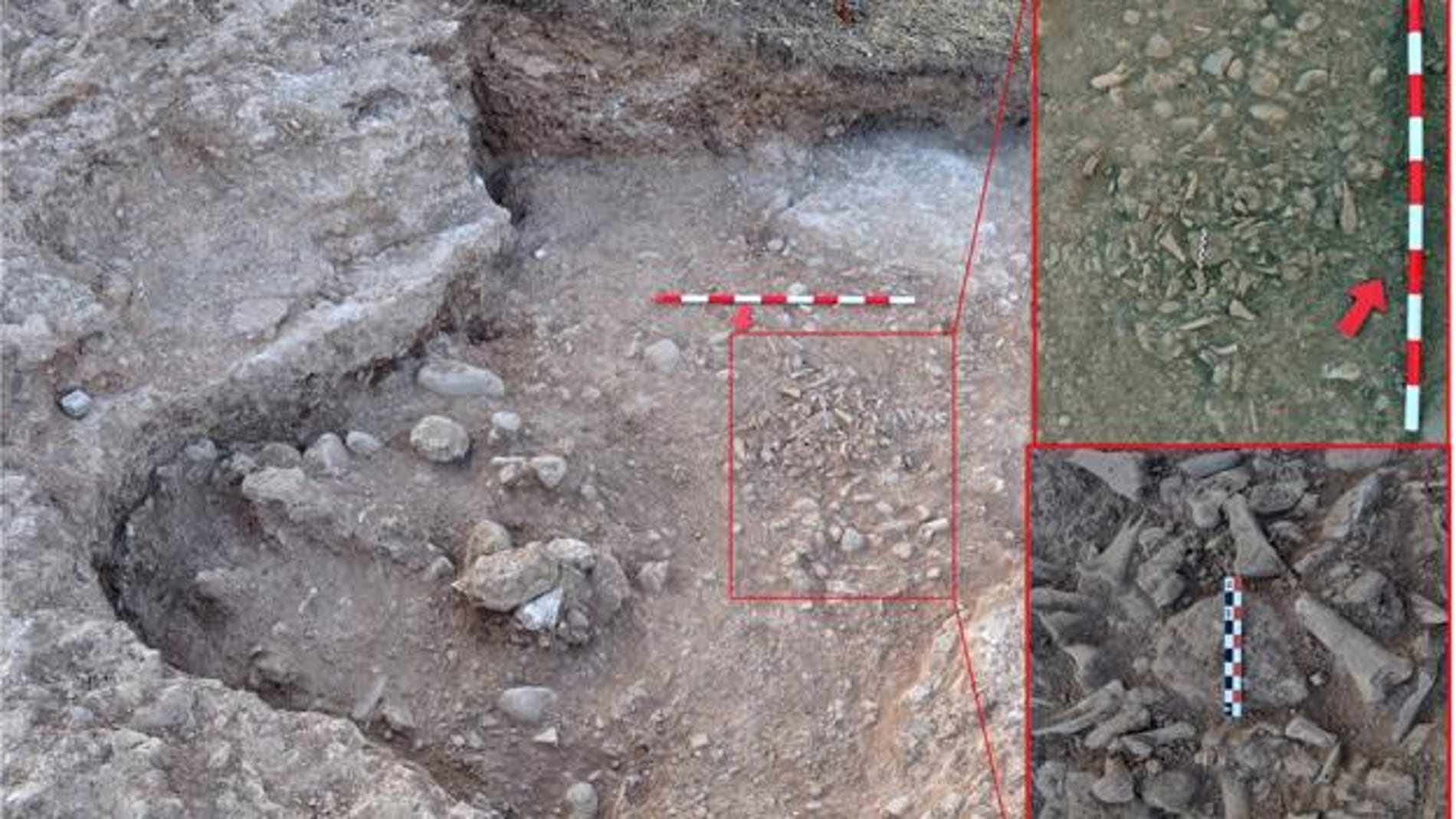 El analisis de un basurero del siglo XVI muestra que los moriscos mantenian habitos musulmanes