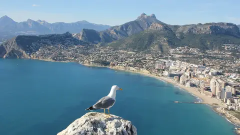 Vistas desde el Peñón de Ifach Vistas desde el Peñón de Ifach