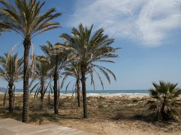 Playa del Pinar Playa del Pinar