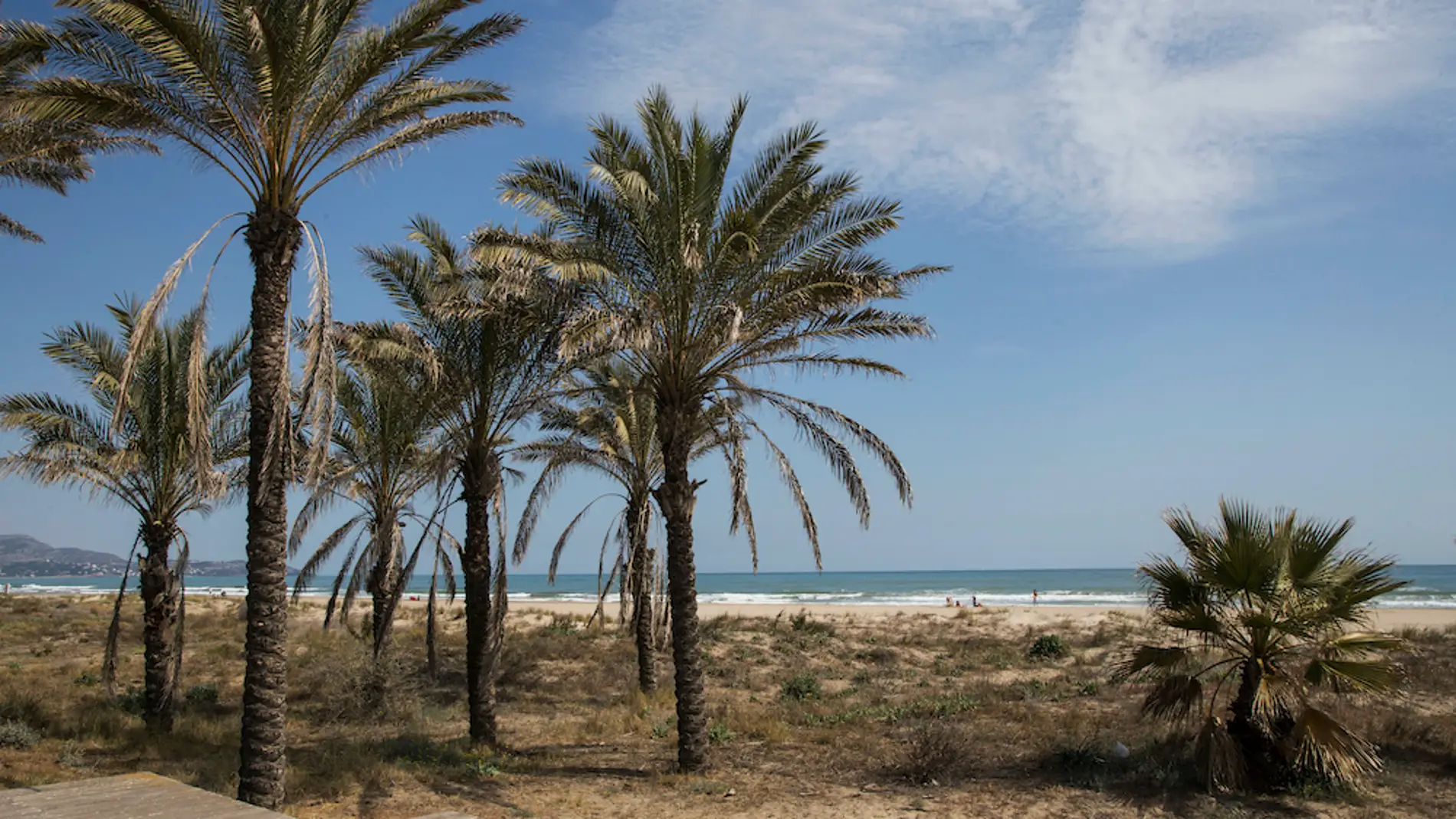 Playa del Pinar