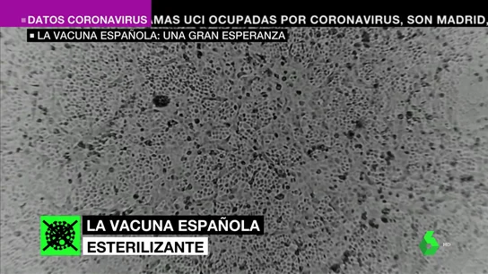 Barata, intranasal y 100%: así puede ser la vacuna española, la gran esperanza contra el coronavirus Barata, intranasal y 100%: así puede ser la vacuna española, la gran esperanza contra el coronavirus