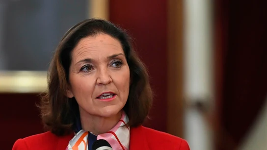 La ministra de Industria, Comercio y Turismo, Reyes Maroto durante su intervención en su visita a Alcalá de Henares La ministra de Industria, Comercio y Turismo, Reyes Maroto durante su intervención en su visita a Alcalá de Henares